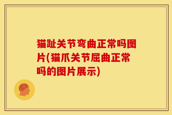 猫趾关节弯曲正常吗图片(猫爪关节屈曲正常吗的图片展示) 猫趾关节弯曲正常吗图片(猫爪关节屈曲正常吗的图片展示)
