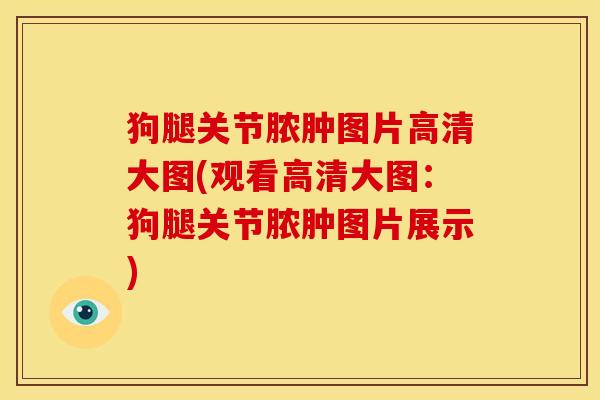 狗腿关节脓肿图片高清大图(观看高清大图:狗腿关节脓肿图片展示) 狗腿关节脓肿图片高清大图(观看高清大图:狗腿关节脓肿图片展示)