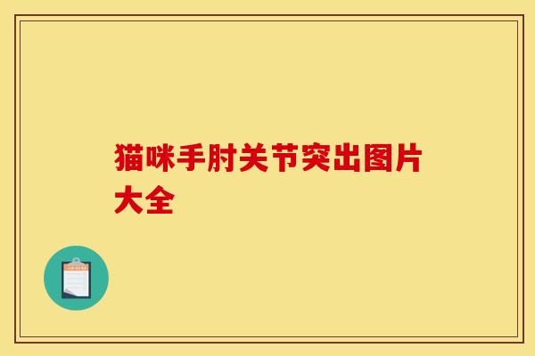 猫咪手肘关节突出图片大全