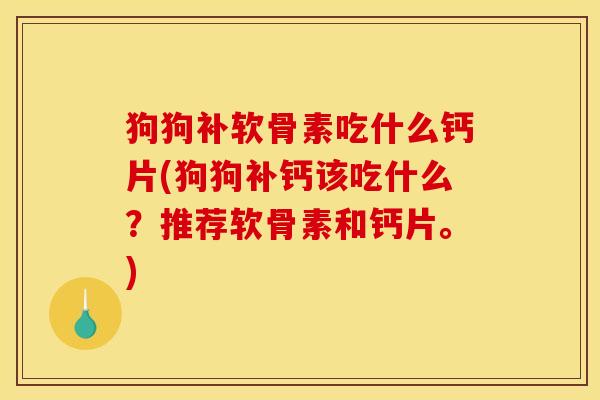 狗狗补软骨素吃什么钙片(狗狗补钙该吃什么?推荐软骨素和钙片。) 狗狗补软骨素吃什么钙片(狗狗补钙该吃什么?推荐软骨素和钙片。)