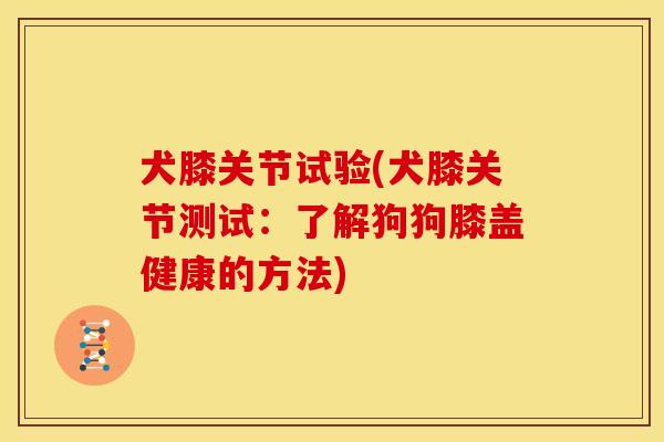 犬膝关节试验(犬膝关节测试:了解狗狗膝盖健康的方法) 犬膝关节试验(犬膝关节测试:了解狗狗膝盖健康的方法)