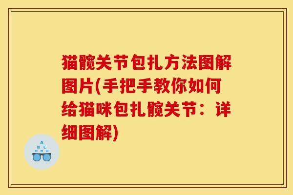 猫髋关节包扎方法图解图片(手把手教你如何给猫咪包扎髋关节：详细图解)