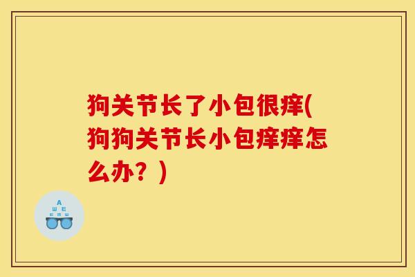 狗关节长了小包很痒(狗狗关节长小包痒痒怎么办？)