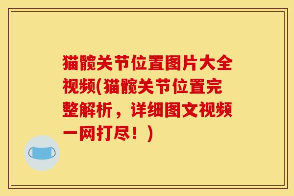 猫髋关节位置图片大全视频(猫髋关节位置完整解析,详细图文视频一网打尽!) 猫髋关节位置图片大全视频(猫髋关节位置完整解析,详细图文视频一网打尽!)