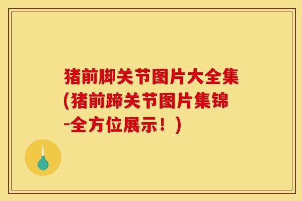 猪前脚关节图片大全集(猪前蹄关节图片集锦-全方位展示!) 猪前脚关节图片大全集(猪前蹄关节图片集锦-全方位展示!)