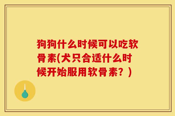 狗狗什么时候可以吃软骨素(犬只合适什么时候开始服用软骨素？)