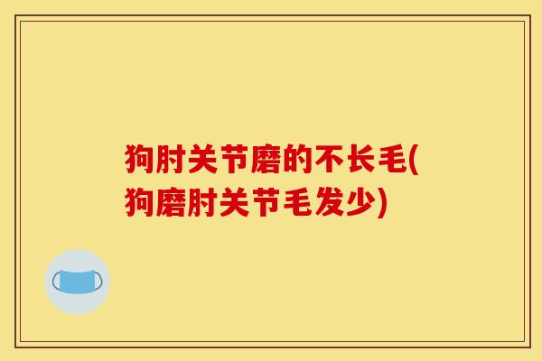 狗肘关节磨的不长毛(狗磨肘关节毛发少)