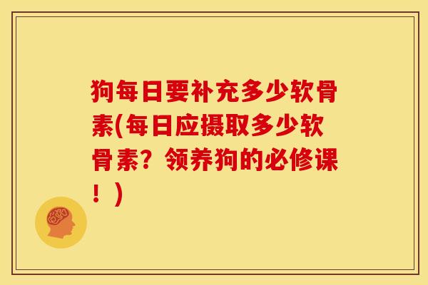狗每日要补充多少软骨素(每日应摄取多少软骨素?领养狗的必修课!) 狗每日要补充多少软骨素(每日应摄取多少软骨素?领养狗的必修课!)
