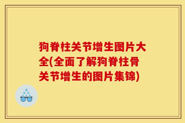 狗脊柱关节增生图片大全(全面了解狗脊柱骨关节增生的图片集锦) 狗脊柱关节增生图片大全(全面了解狗脊柱骨关节增生的图片集锦)