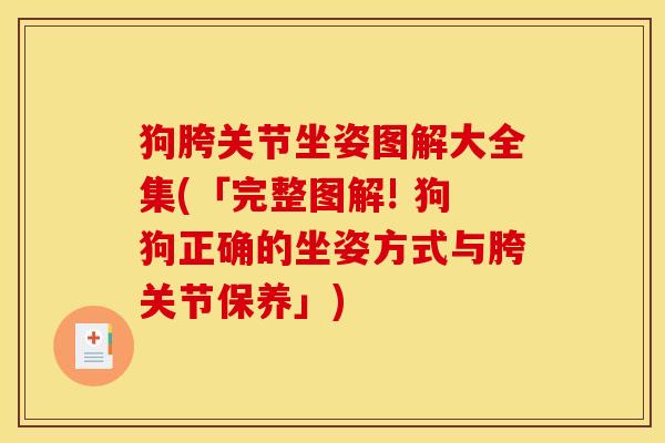 狗胯关节坐姿图解大全集(「完整图解! 狗狗正确的坐姿方式与胯关节保养」)