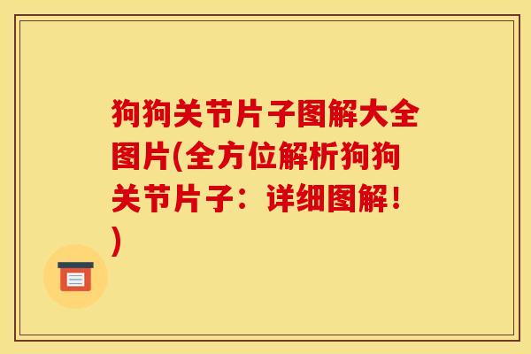 狗狗关节片子图解大全图片(全方位解析狗狗关节片子：详细图解！)