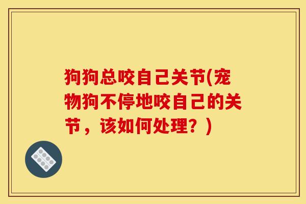 狗狗总咬自己关节(宠物狗不停地咬自己的关节，该如何处理？)