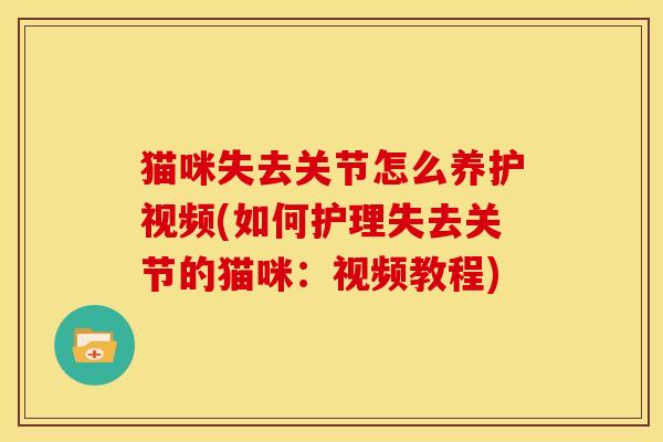 猫咪失去关节怎么养护视频(如何护理失去关节的猫咪:视频教程) 猫咪失去关节怎么养护视频(如何护理失去关节的猫咪:视频教程)