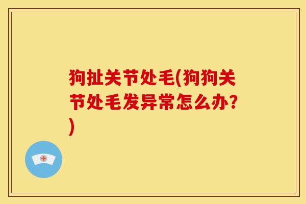 狗扯关节处毛(狗狗关节处毛发异常怎么办?) 狗扯关节处毛(狗狗关节处毛发异常怎么办?)