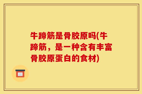 牛蹄筋是骨胶原吗(牛蹄筋，是一种含有丰富骨胶原蛋白的食材)