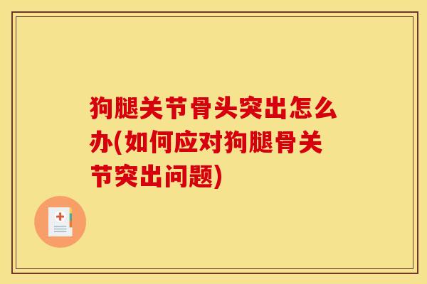 狗腿关节骨头突出怎么办(如何应对狗腿骨关节突出问题) 狗腿关节骨头突出怎么办(如何应对狗腿骨关节突出问题)