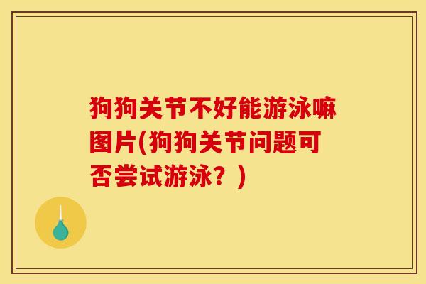 狗狗关节不好能游泳嘛图片(狗狗关节问题可否尝试游泳?) 狗狗关节不好能游泳嘛图片(狗狗关节问题可否尝试游泳?)
