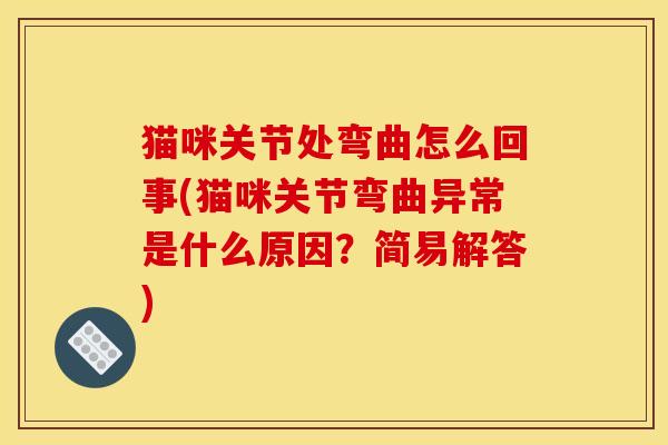 猫咪关节处弯曲怎么回事(猫咪关节弯曲异常是什么原因？简易解答)