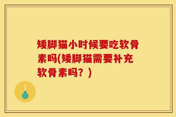矮脚猫小时候要吃软骨素吗(矮脚猫需要补充软骨素吗?) 矮脚猫小时候要吃软骨素吗(矮脚猫需要补充软骨素吗?)