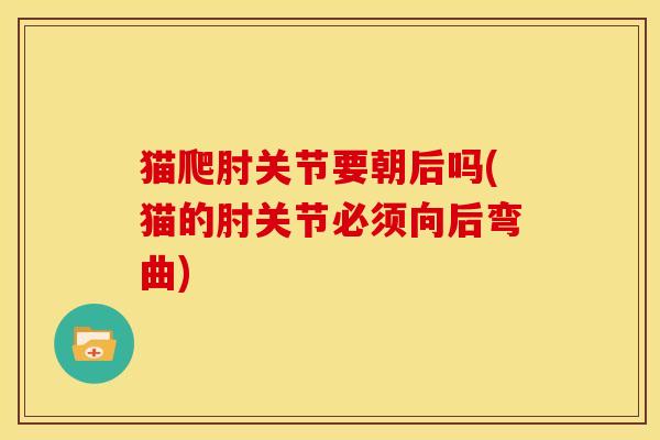 猫爬肘关节要朝后吗(猫的肘关节必须向后弯曲) 猫爬肘关节要朝后吗(猫的肘关节必须向后弯曲)
