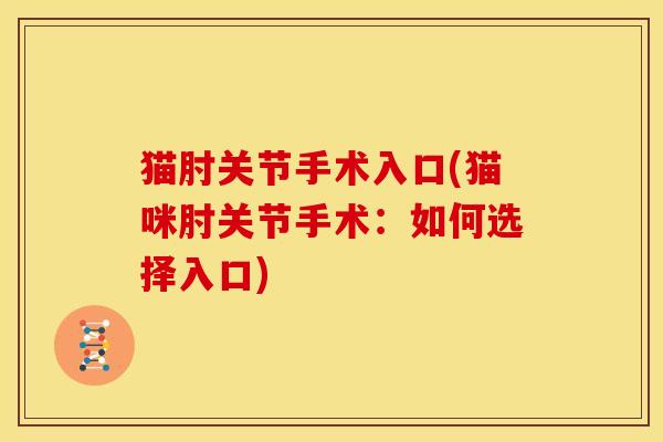 猫肘关节手术入口(猫咪肘关节手术：如何选择入口)