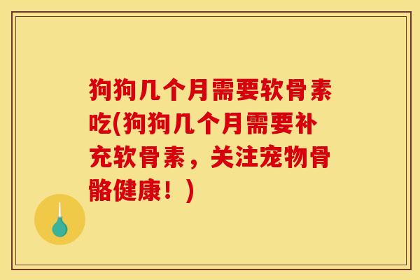 狗狗几个月需要软骨素吃(狗狗几个月需要补充软骨素，关注宠物骨骼健康！)