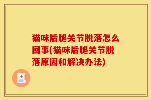 猫咪后腿关节脱落怎么回事(猫咪后腿关节脱落原因和解决办法) 猫咪后腿关节脱落怎么回事(猫咪后腿关节脱落原因和解决办法)