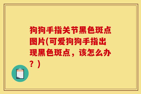 狗狗手指关节黑色斑点图片(可爱狗狗手指出现黑色斑点，该怎么办？)