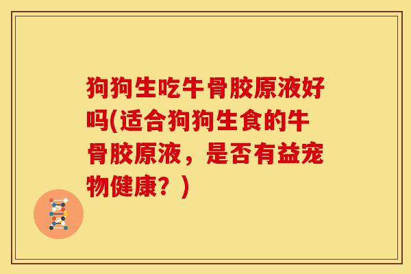 狗狗生吃牛骨胶原液好吗(适合狗狗生食的牛骨胶原液,是否有益宠物健康?) 狗狗生吃牛骨胶原液好吗(适合狗狗生食的牛骨胶原液,是否有益宠物健康?)