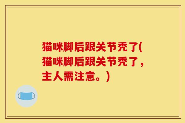 猫咪脚后跟关节秃了(猫咪脚后跟关节秃了,主人需注意。) 猫咪脚后跟关节秃了(猫咪脚后跟关节秃了,主人需注意。)
