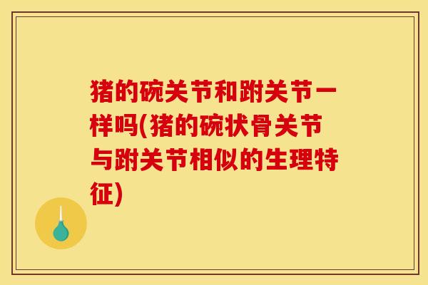 猪的碗关节和跗关节一样吗(猪的碗状骨关节与跗关节相似的生理特征) 猪的碗关节和跗关节一样吗(猪的碗状骨关节与跗关节相似的生理特征)