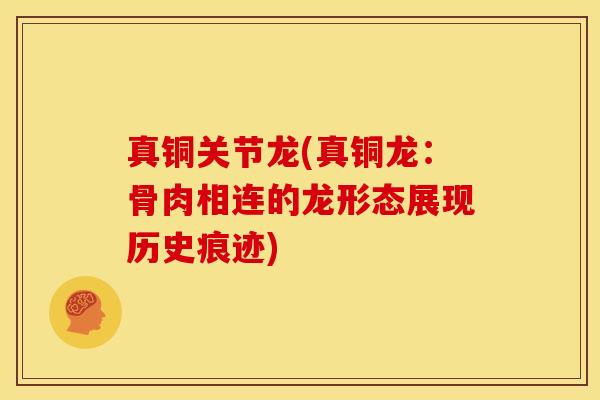 真铜关节龙(真铜龙:骨肉相连的龙形态展现历史痕迹) 真铜关节龙(真铜龙:骨肉相连的龙形态展现历史痕迹)