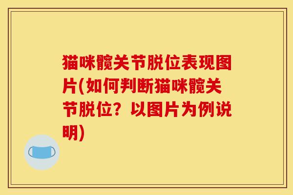 猫咪髋关节脱位表现图片(如何判断猫咪髋关节脱位?以图片为例说明) 猫咪髋关节脱位表现图片(如何判断猫咪髋关节脱位?以图片为例说明)