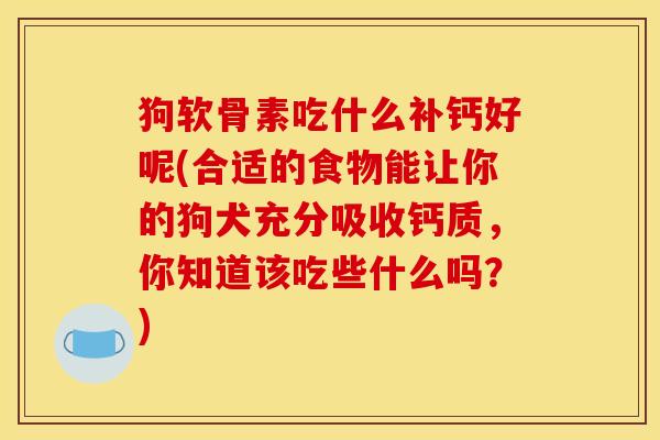 狗软骨素吃什么补钙好呢(合适的食物能让你的狗犬充分吸收钙质，你知道该吃些什么吗？)