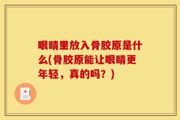 眼睛里放入骨胶原是什么(骨胶原能让眼睛更年轻,真的吗?) 眼睛里放入骨胶原是什么(骨胶原能让眼睛更年轻,真的吗?)