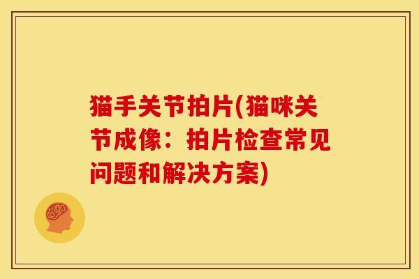 猫手关节拍片(猫咪关节成像：拍片检查常见问题和解决方案)