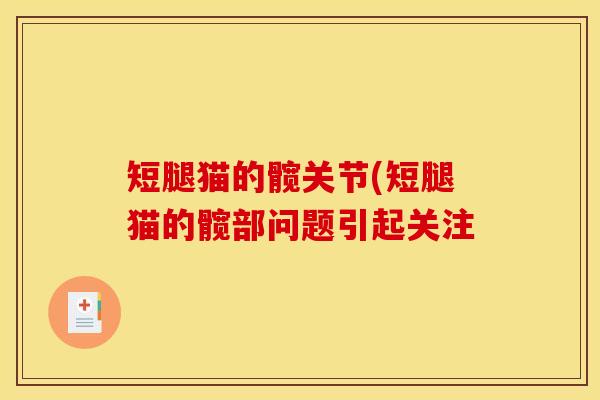 短腿猫的髋关节(短腿猫的髋部问题引起关注 短腿猫的髋关节(短腿猫的髋部问题引起关注