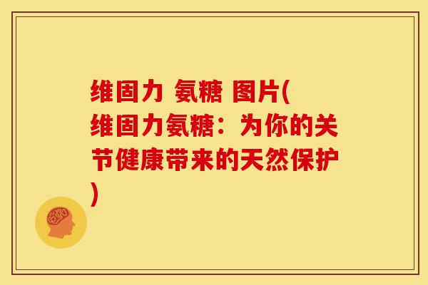 维固力 氨糖 图片(维固力氨糖：为你的关节健康带来的天然保护)