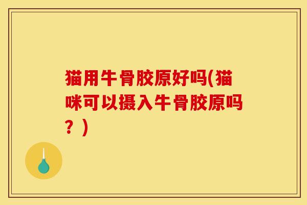 猫用牛骨胶原好吗(猫咪可以摄入牛骨胶原吗?) 猫用牛骨胶原好吗(猫咪可以摄入牛骨胶原吗?)