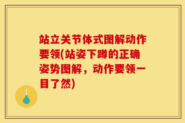 站立关节体式图解动作要领(站姿下蹲的正确姿势图解，动作要领一目了然)