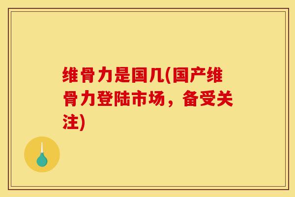 维骨力是国几(国产维骨力登陆市场,备受关注) 维骨力是国几(国产维骨力登陆市场,备受关注)