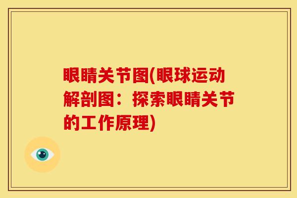 眼睛关节图(眼球运动解剖图:探索眼睛关节的工作原理) 眼睛关节图(眼球运动解剖图:探索眼睛关节的工作原理)