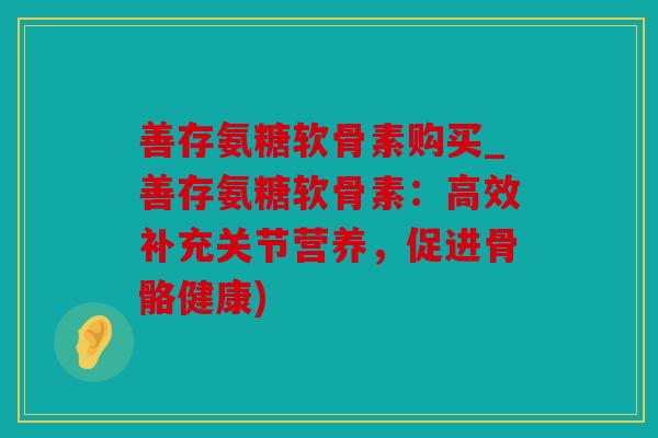 善存氨糖软骨素购买_善存氨糖软骨素:高效补充关节营养,促进骨骼健康) 善存氨糖软骨素购买_善存氨糖软骨素:高效补充关节营养,促进骨骼健康)