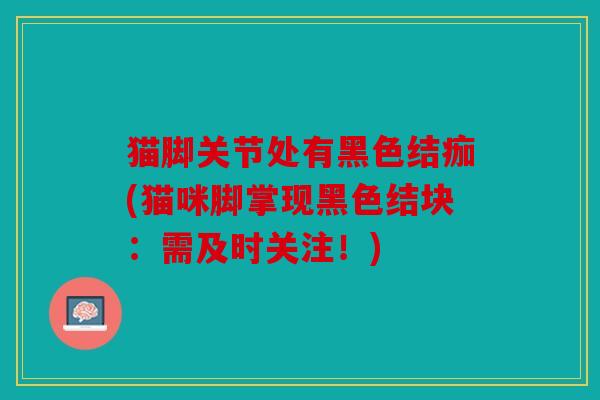 猫脚关节处有黑色结痂(猫咪脚掌现黑色结块：需及时关注！)