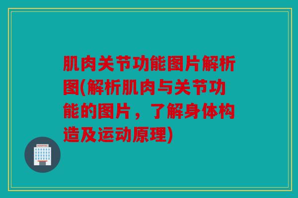 肌肉关节功能图片解析图(解析肌肉与关节功能的图片，了解身体构造及运动原理)