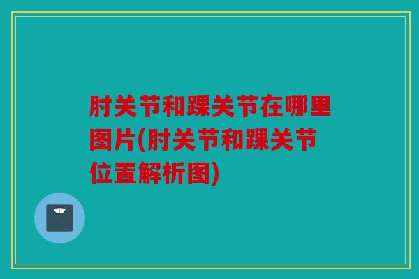 肘关节和踝关节在哪里图片(肘关节和踝关节位置解析图) 肘关节和踝关节在哪里图片(肘关节和踝关节位置解析图)