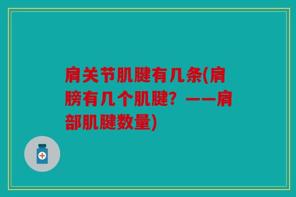 肩关节肌腱有几条(肩膀有几个肌腱?——肩部肌腱数量) 肩关节肌腱有几条(肩膀有几个肌腱?——肩部肌腱数量)