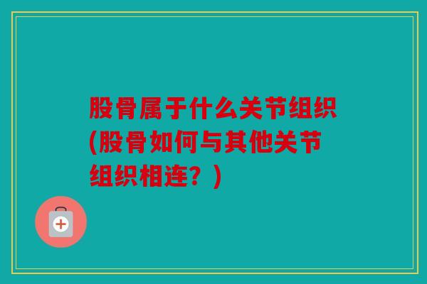 股骨属于什么关节组织(股骨如何与其他关节组织相连?) 股骨属于什么关节组织(股骨如何与其他关节组织相连?)
