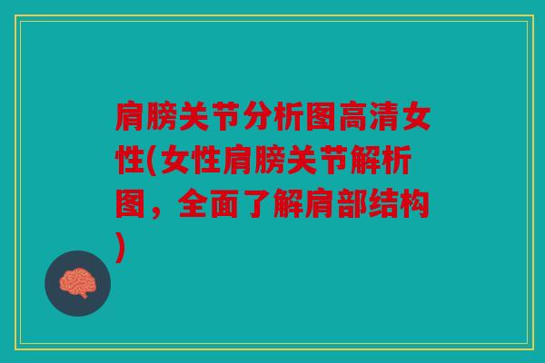 肩膀关节分析图高清女性(女性肩膀关节解析图，全面了解肩部结构)