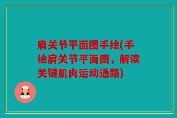 肩关节平面图手绘(手绘肩关节平面图,解读关键肌肉运动通路) 肩关节平面图手绘(手绘肩关节平面图,解读关键肌肉运动通路)